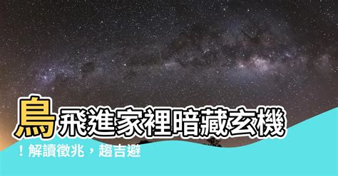 鳥飛進 家裡 代表什麼